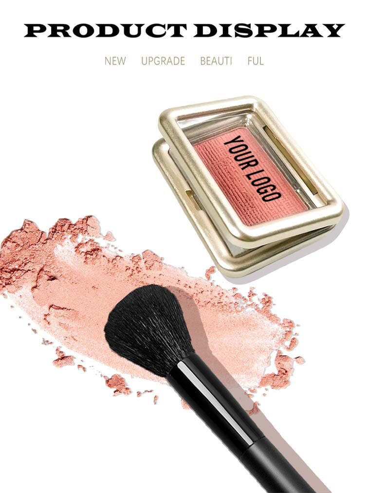 10 Color Blush Powder Makeup Face Etichetta Privata