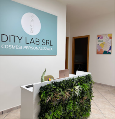  Dity Lab