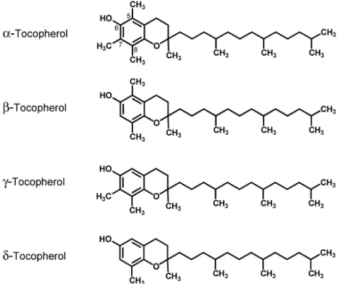 Vitamin E