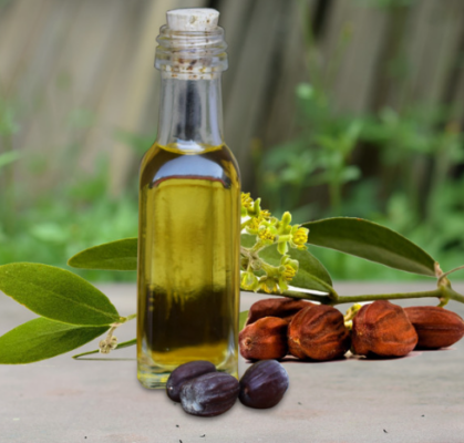 Jojoba seed oil